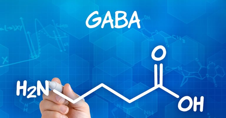 【自律神経を整える】GABAの成分と効果とは？